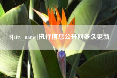 肥城执行信息公开网多久更新