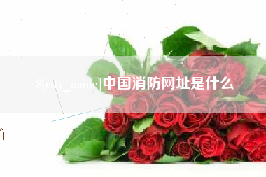 肥城中国消防网址是什么