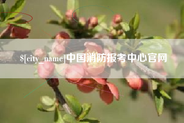 肥城中国消防报考中心官网