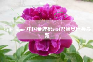 肥城中国金牌榜2024巴黎奥运会最新