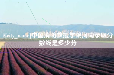 肥城中国消防救援学院河南录取分数线是多少分