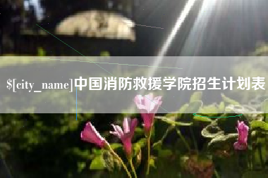 肥城中国消防救援学院招生计划表