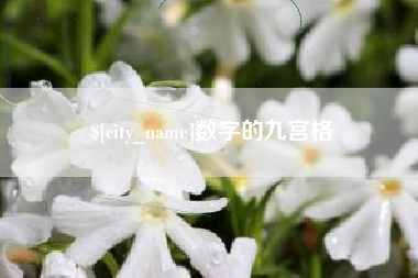 肥城数字的九宫格