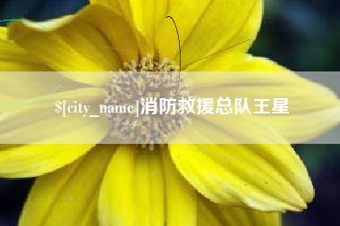 肥城消防救援总队王星