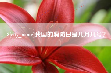 肥城我国的消防日是几月几号？