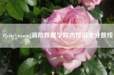 肥城消防救援学院内部招生分数线