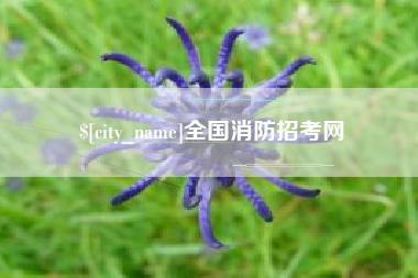 肥城全国消防招考网