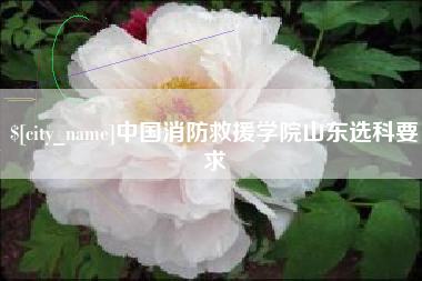 肥城中国消防救援学院山东选科要求