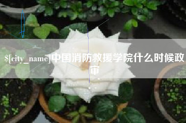 肥城中国消防救援学院什么时候政审