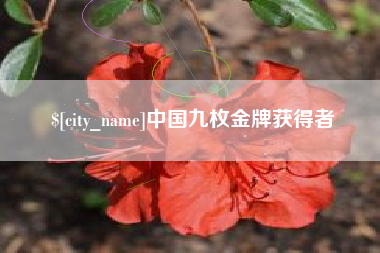 肥城中国九枚金牌获得者