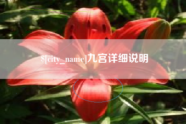肥城九宫详细说明