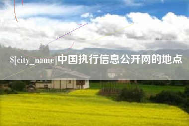 肥城中国执行信息公开网的地点
