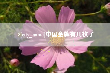 肥城中国金牌有几枚了