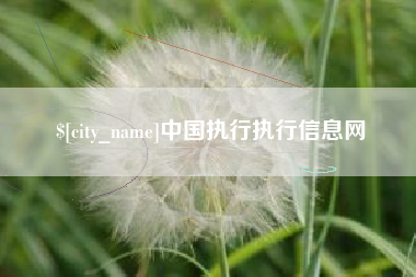 肥城中国执行执行信息网