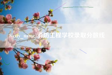 肥城消防工程学校录取分数线