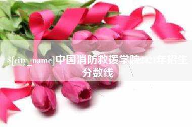 肥城中国消防救援学院2021年招生分数线