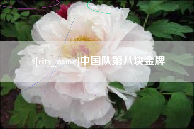 肥城中国队第八块金牌