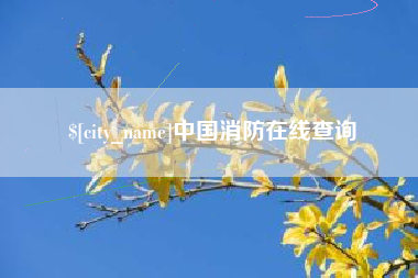 肥城中国消防在线查询