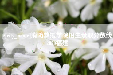 肥城消防救援学院招生录取分数线2020福建