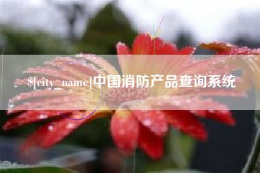 肥城中国消防产品查询系统