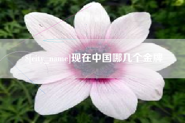 肥城现在中国哪几个金牌