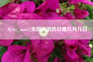 肥城全国的消防日是几月几日
