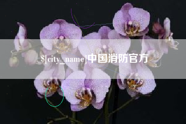 肥城中国消防官方