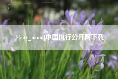 肥城中国执行公开网下载