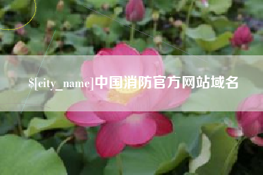 肥城中国消防官方网站域名
