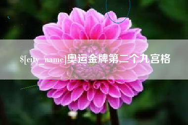 肥城奥运金牌第二个九宫格