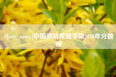 肥城中国消防救援学院2020年分数线