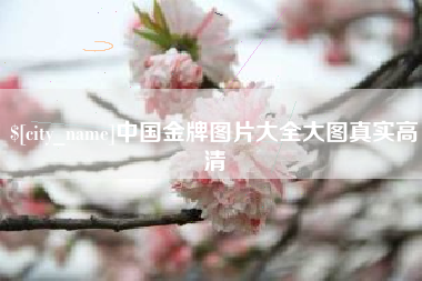 肥城中国金牌图片大全大图真实高清