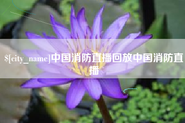 肥城中国消防直播回放中国消防直播