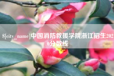 肥城中国消防救援学院浙江招生2020分数线