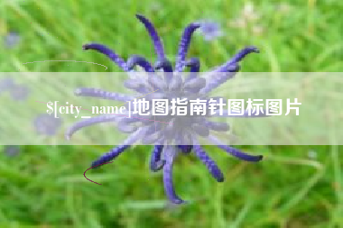 肥城地图指南针图标图片