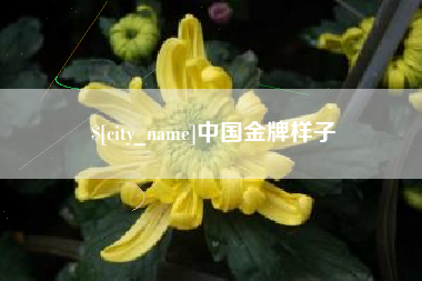 肥城中国金牌样子