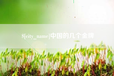 肥城中国的几个金牌