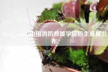 肥城中国消防救援学院招生章程公布!