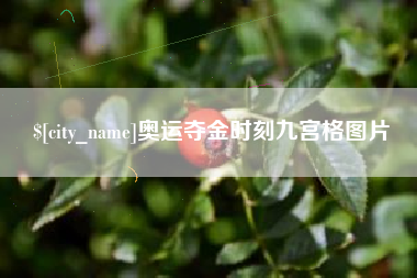 肥城奥运夺金时刻九宫格图片