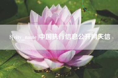 肥城中国执行信息公开网失信