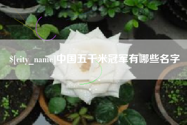 肥城中国五千米冠军有哪些名字