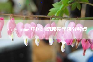 肥城中国消防救援学院分数线