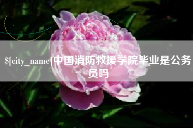 肥城中国消防救援学院毕业是公务员吗
