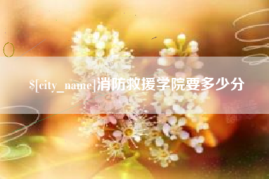 肥城消防救援学院要多少分