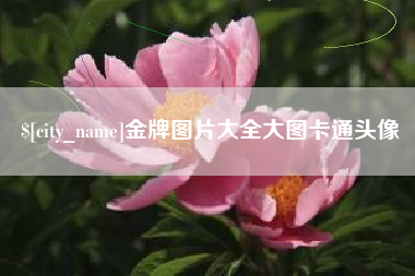肥城金牌图片大全大图卡通头像