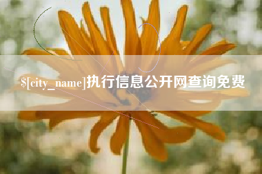 肥城执行信息公开网查询免费