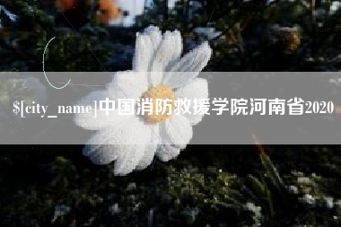 肥城中国消防救援学院河南省2020